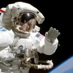 10 Astronaut Hewan yang Pernah ke Luar Angkasa