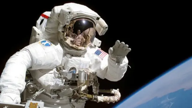 10 Astronaut Hewan yang Pernah ke Luar Angkasa