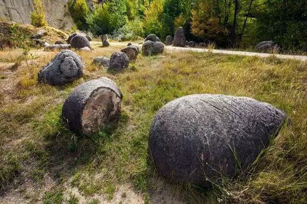 Belum Terpecahkan! Misteri Batu Hidup yang Dapat Tumbuh dan Bergerak