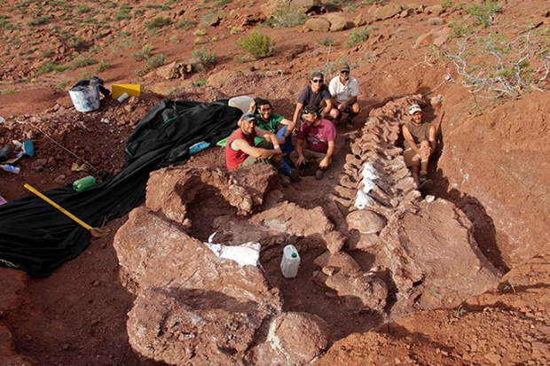 Penemuan Spesies Dinosaurus Baru di Gurun Atacama, Chili