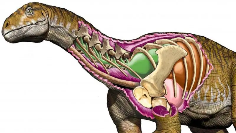 Ingentia Prima Si 'Raksasa Pertama' yang Mengubah Sejarah Dinosaurus